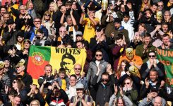 MNA launches search for new Wolves correspondent